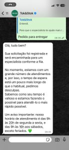 Print da conversa entre o consumidor e o atendimento da loja Tok&Stok - Foto: Fonte