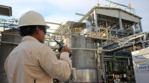 Programas tem duração de 12 meses à 24 meses - Foto: Divulgação/Indovinya