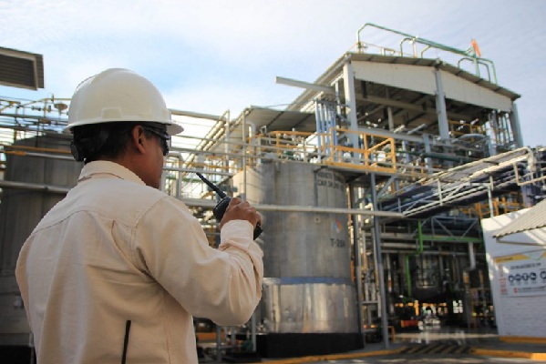 Programas tem duração de 12 meses à 24 meses - Foto: Divulgação/Indovinya