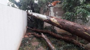 Condomínio (ATUA Guarulhos) - Vila Endres