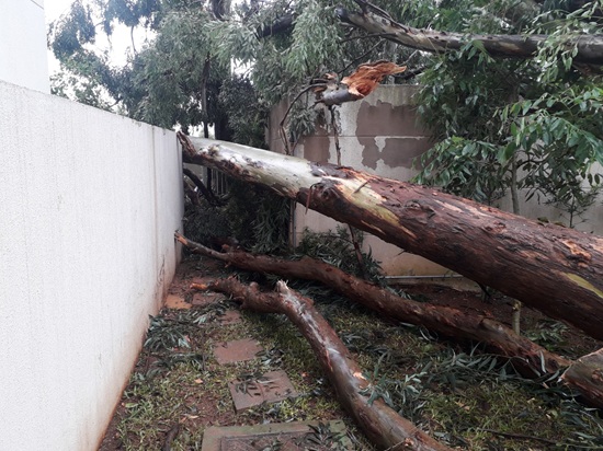 Condomínio (ATUA Guarulhos) - Vila Endres