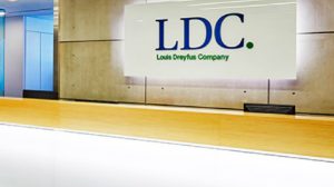 Vagas estão abertas para diversas áreas - Foto: Divulgação