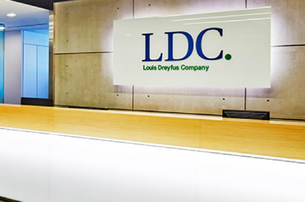 Vagas estão abertas para diversas áreas - Foto: Divulgação