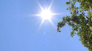 Guarulhos terá máximas de 34° graus - Foto: Divulgação