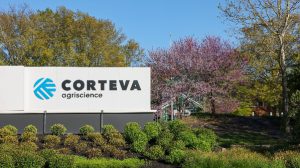 Corteva abre vagas para estágio - Foto: Reprodução