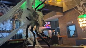 Veja os locais que tem eventos neste Halloween - Foto: Divulgação