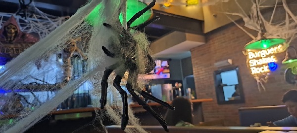 Veja os locais que tem eventos neste Halloween - Foto: Divulgação