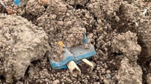 Descaso no Cemitério Vila Rio - Guarulhos