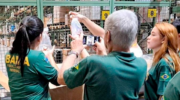 IBAMA Guarulhos - Foto: Divulgação