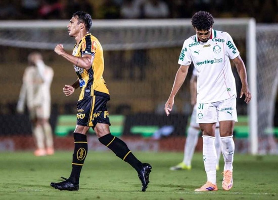 Novorizontino 4 x 0 Palmeiras - Paulistão (Foto: Pedro Zacchi/Ag.Paulistão)