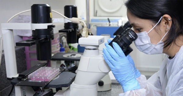 Governo de São Paulo Autoriza Novo Concurso e medidas para pesquisadores (Foto-Divulgação/Governo de SP)