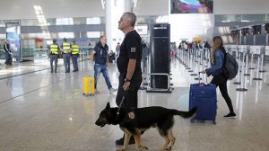 PF intercepta 30 kg de skunk e prende estrangeiro no Aeroporto de Guarulhos (Foto: Edilson Dantas)