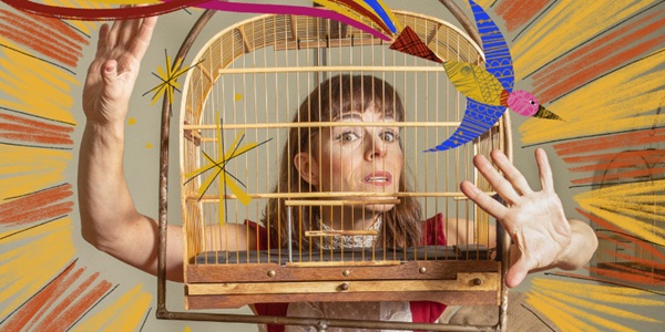 A Menina e o Pássaro Encantado (Foto-Divulgação)