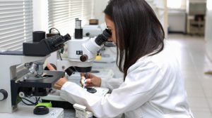 PAT Itaim Paulista promove feirão de emprego com 55 vagas (Foto: Divulgação/Governo de SP)