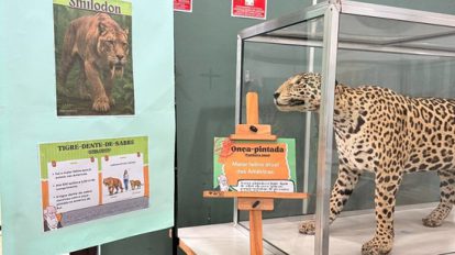 Zoológico de Guarulhos promove atividades pelo Dia Mundial de Darwin em fevereiro (Foto: Divulgação)