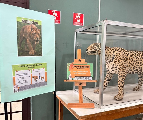 Zoológico de Guarulhos promove atividades pelo Dia Mundial de Darwin em fevereiro (Foto: Divulgação)