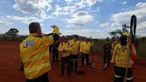 Governo de SP abre 243 vagas para brigadistas (Foto: Governo de SP)