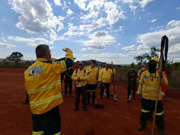 Governo de SP abre 243 vagas para brigadistas (Foto: Governo de SP)