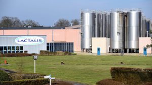 Lactalis abre inscrições para Programa de Estágio Corporativo 2026 (Foto: Divulgação)
