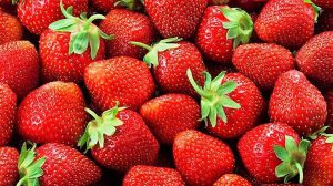 Festival do Morango e da Cerveja Artesanal (Foto-Divulgação)