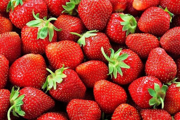 Festival do Morango e da Cerveja Artesanal (Foto-Divulgação)