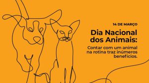 Dia Nacional dos Animais é celebrado neste sábado e reforça importância do cuidado (Foto-Divulgação)