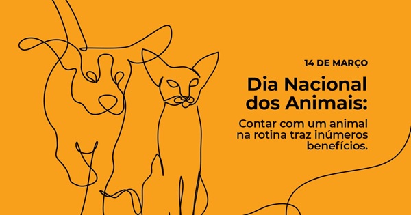 Dia Nacional dos Animais é celebrado neste sábado e reforça importância do cuidado (Foto-Divulgação)