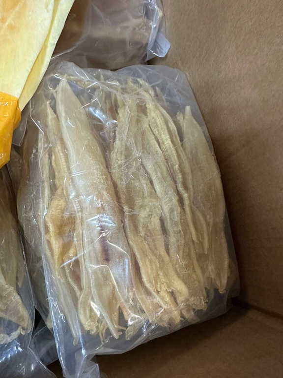 PF prende passageira com ouro e barbatanas de tubarão no Aeroporto de Guarulhos (Foto-Policia Federal)