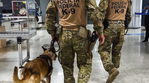 PF apreende 48 kg de cocaína no Aeroporto Internacional de São Paulo/Guarulhos (Foto-Policia federal)