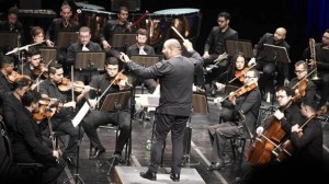 GRU Sinfônica / Foto: Reprodução