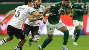 Foto - Cesar Greco / Palmeiras