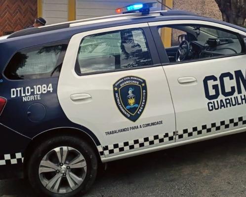 GCM prende seis agressores por violência doméstica (Foto: Divulgação / PMG)