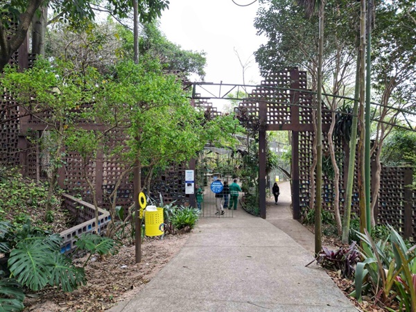 Oficina gratuita no Bosque Maia ensina plantio e manutenção de orquídeas (Imagens: Divulgação / PMG)