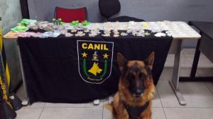 GCM de Guarulhos prende três traficantes e apreende 1,8 kg de drogas em operações na cidade (Foto: Divulgação / PMG)