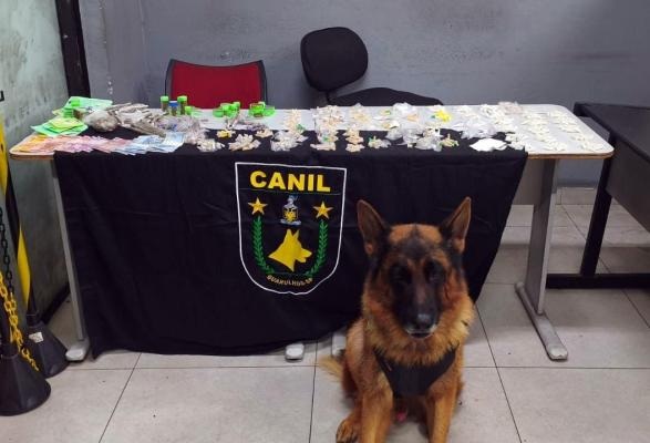 GCM de Guarulhos prende três traficantes e apreende 1,8 kg de drogas em operações na cidade (Foto: Divulgação / PMG)