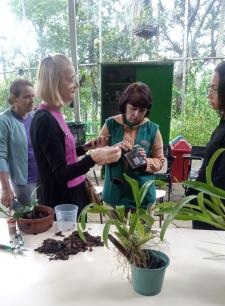 Imagem: Divulgação/PMG