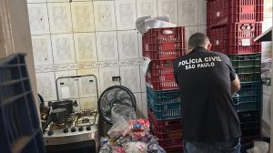 Polícia apreende cerca de 4 milhões de produtos falsificados em operação no Brás (Foto: SSP)