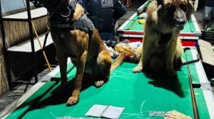 GCM prende dois suspeitos e apreende drogas e máquinas caça-níqueis em bar no Macedo (Foto-Divulgação / PMG)