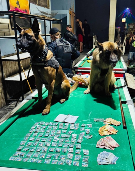 GCM prende dois suspeitos e apreende drogas e máquinas caça-níqueis em bar no Macedo (Foto-Divulgação / PMG)