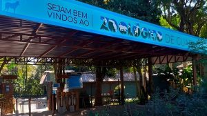 Zoológico de Guarulhos - Reprodução