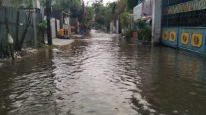 Saúde alerta para risco de leptospirose durante período de chuvas (Foto-Reprodução)