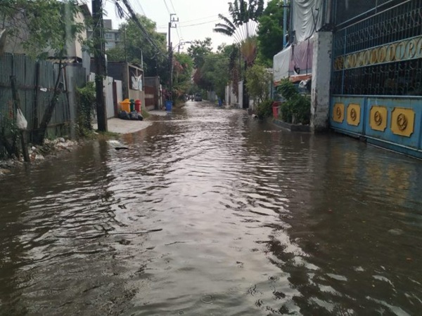 Saúde alerta para risco de leptospirose durante período de chuvas (Foto-Reprodução)