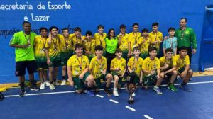 Guarulhos realiza seletiva para equipe masculina de handebol neste sábado (Foto: Divulgação)