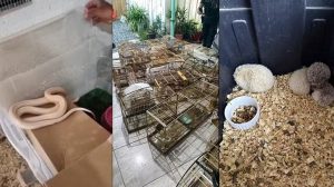 Operação da PF prende 21 pessoas e cumpre mandados em Guarulhos (Foto: Gaeco/Divulgação)