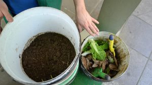 Bosque Maia sedia oficina de compostagem com minhocas (Foto: Pâmella Atkinson/IHU)