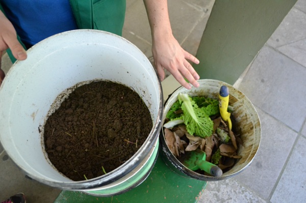 Bosque Maia sedia oficina de compostagem com minhocas (Foto: Pâmella Atkinson/IHU)