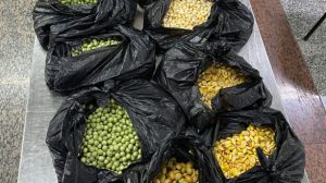 Vigiagro apreende mais de 3 toneladas de produtos irregulares no Aeroporto de Guarulhos (Foto-Reprodução)