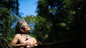 Além da capital: Conheça comunidades indígenas que promovem turismo de base em SP (Foto: Pablo Jacob/Governo do São Paulo)