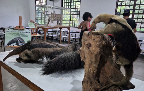 Zoológico e Bosque Maia divulgam agendas ambientais gratuitas para abril em Guarulhos (Imagem: Divulgação / PMG)
