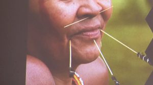 Zoológico de Guarulhos promove programação especial sobre saberes indígenas durante abril (Foto: Divulgação / PMG)